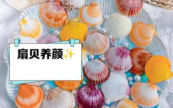 你的扇贝好多水;小扇贝出水还能用吗