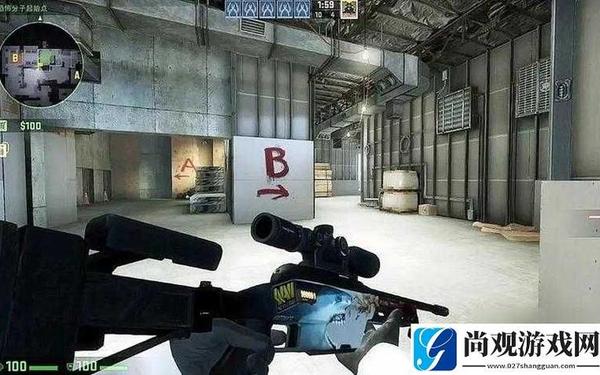 老阿姨在CSGO中的经典比赛(暴躁老姐的CSGO)